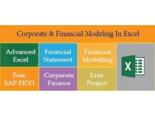 Financial Modelling Training Course in Delhi, 110090. Best Online Live Financial Analyst Training in Patna by IIT Faculty