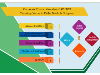 Job Oriented Financial Modelling Certification Course in Delhi,110095. Best Online Live Financial Analyst Training in Alighar by IIT Faculty