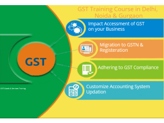 GST Course in Delhi, 110015, SLA. GST and Accounting Institute, Taxation and Tally Prime Institute in Delhi, Noida,